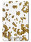 Altın Folyo Kumaş Doku Tasarımı Akrilik Levha 3mm Panel Kurulu Çatlamaya Dayanıklı